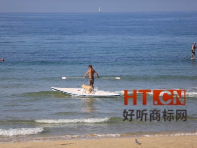 商标转让.jpg 商标转让