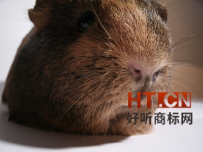 商标转让.jpg 商标转让