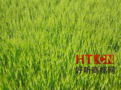 商标转让.jpg 商标转让