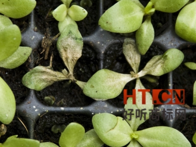 商标转让.jpg 商标转让