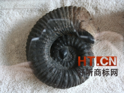 商标转让.jpg 商标转让