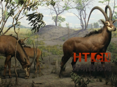 商标转让.jpg 商标转让