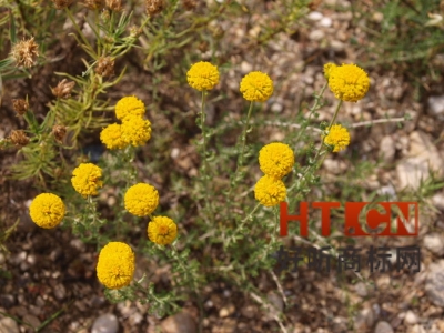 商标转让.jpg 商标转让