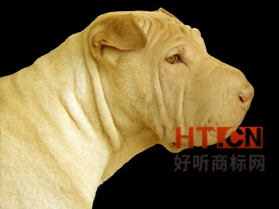 商标转让.jpg 商标转让