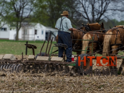 商标转让.jpg 商标转让