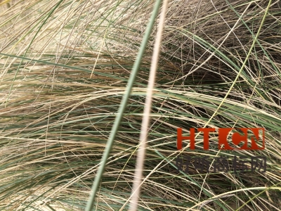 商标转让.jpg 商标转让