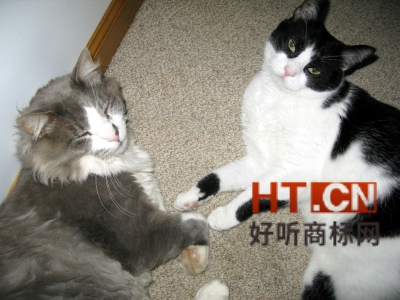 商标转让.jpg 商标转让