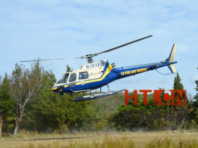 商标转让.jpg 商标转让