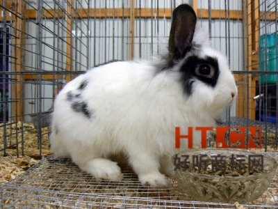 商标转让.jpg 商标转让