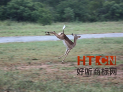 商标转让.jpg 商标转让