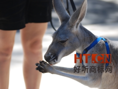 商标转让.jpg 商标转让