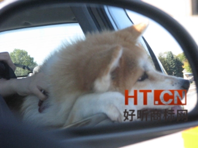 商标转让.jpg 商标转让