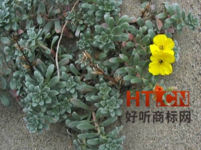 商标转让.jpg 商标转让