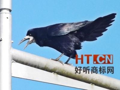 商标转让.jpg 商标转让