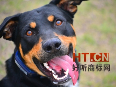 商标转让.jpg 商标转让