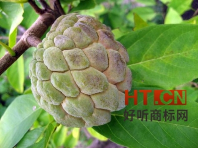 商标转让.jpg 商标转让