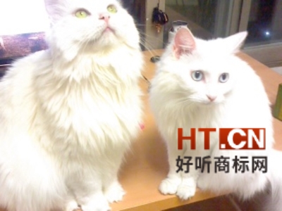 商标转让.jpg 商标转让