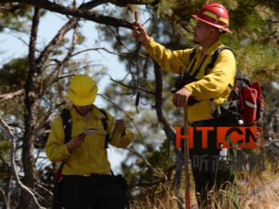 商标转让.jpg 商标转让