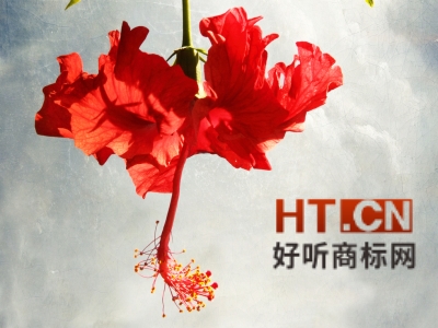 商标转让.jpg 商标转让