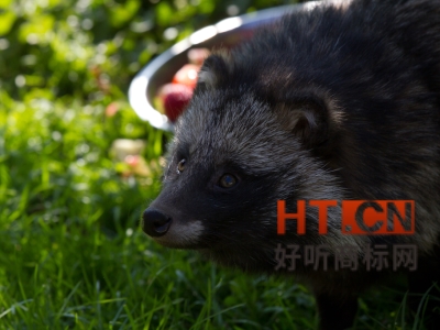 商标转让.jpg 商标转让