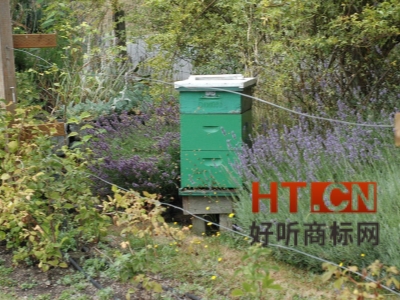 商标转让.jpg 商标转让