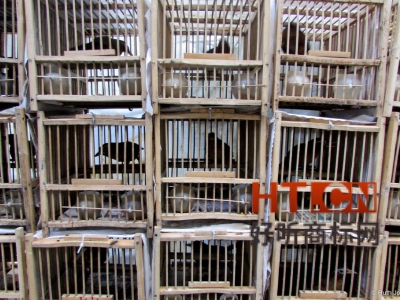 商标转让.jpg 商标转让