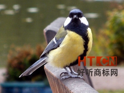 商标转让.jpg 商标转让