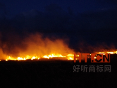 商标转让.jpg 商标转让