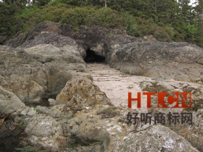 商标转让.jpg 商标转让