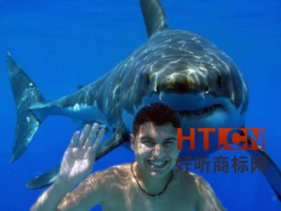 商标转让.jpg 商标转让