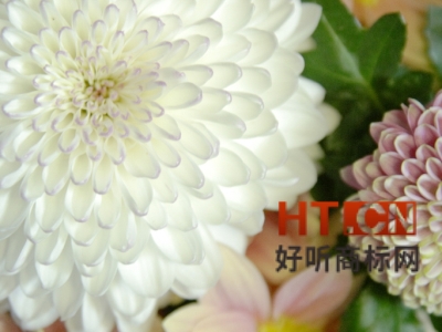 商标转让.jpg 商标转让