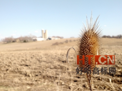 商标转让.jpg 商标转让