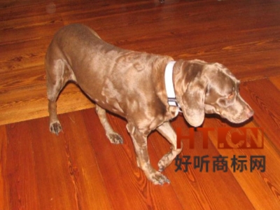 商标转让.jpg 商标转让