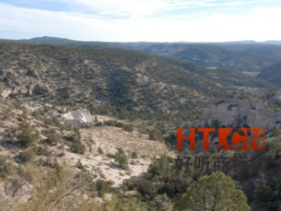 商标转让.jpg 商标转让