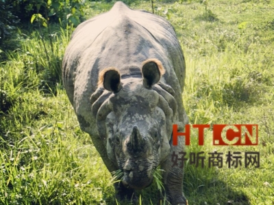 商标转让.jpg 商标转让