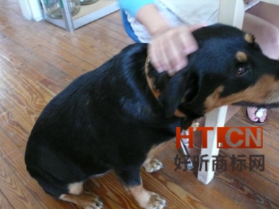 商标转让.jpg 商标转让