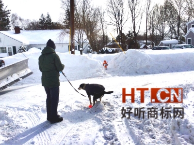 商标转让.jpg 商标转让