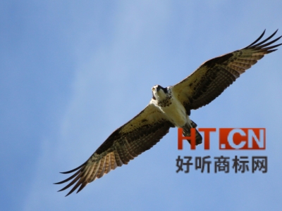 商标转让.jpg 商标转让