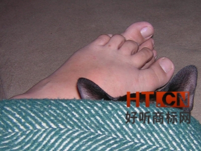 商标转让.jpg 商标转让