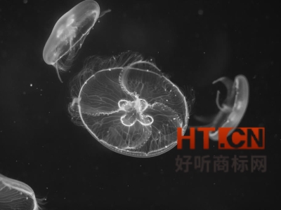 商标转让.jpg 商标转让