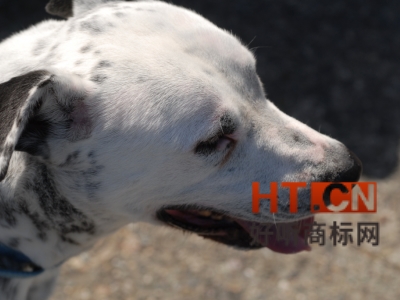 商标转让.jpg 商标转让