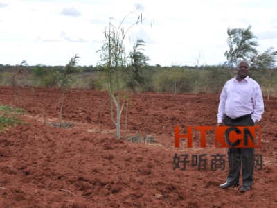 商标转让.jpg 商标转让