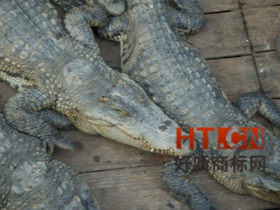 商标转让.jpg 商标转让