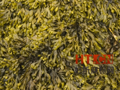 商标转让.jpg 商标转让