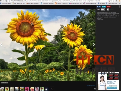 商标转让.jpg 商标转让