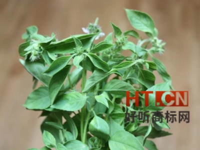 商标转让.jpg 商标转让