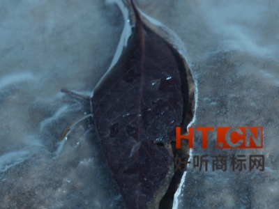 商标转让.jpg 商标转让