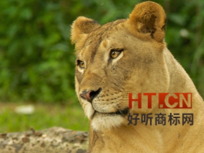 商标转让.jpg 商标转让