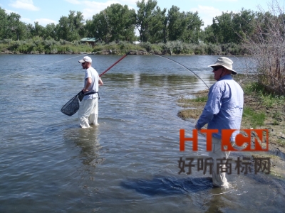 商标转让.jpg 商标转让