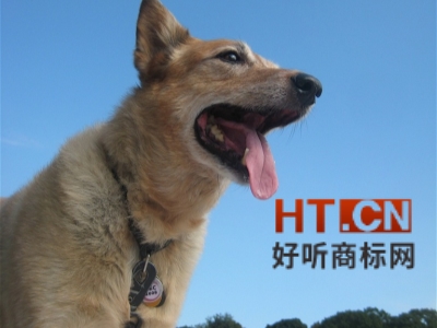 商标转让.jpg 商标转让